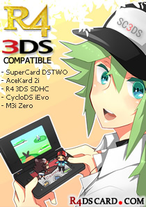 R4i 3DS compare