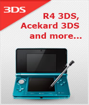 3DS Flash Cards
